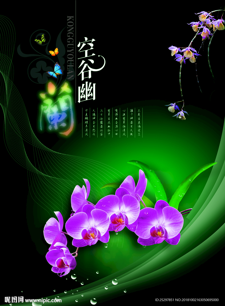 兰花 水珠 素材