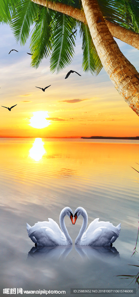 海景天鹅清新玄关背景