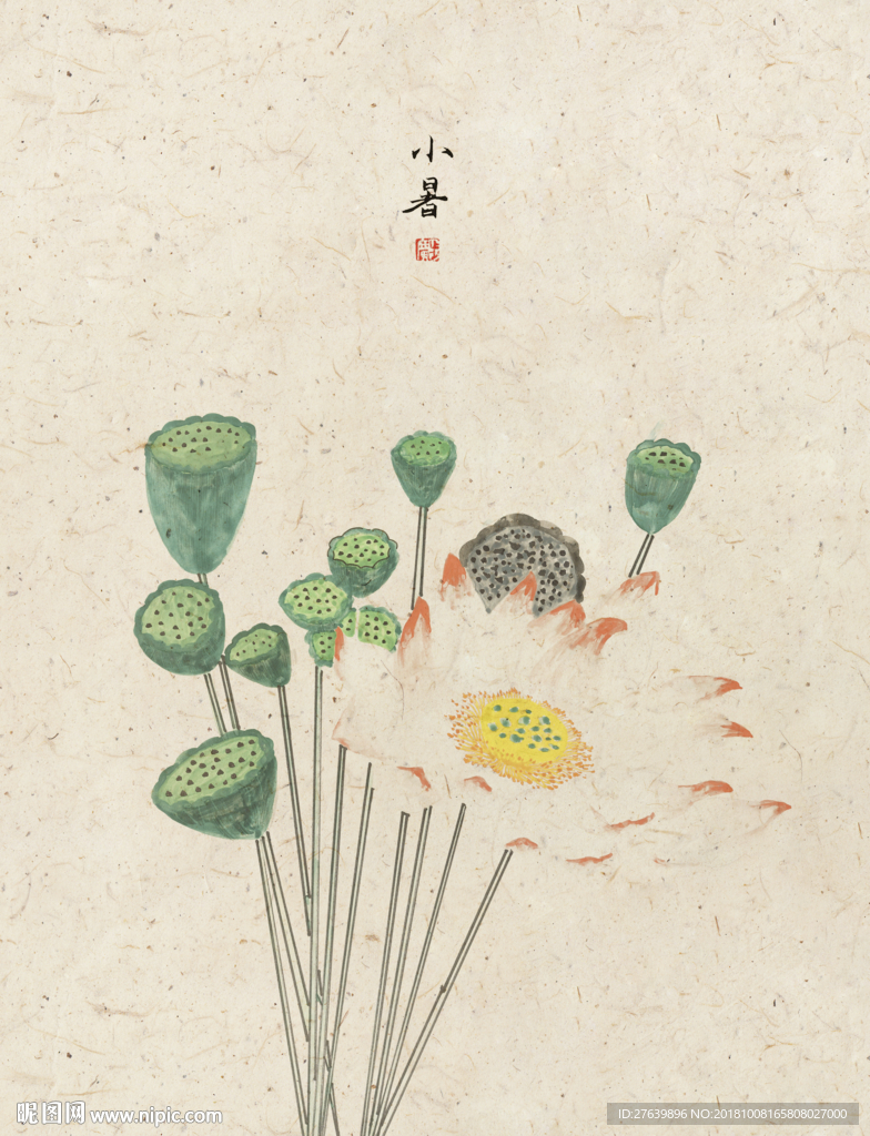 中式民俗 二十四节气 小暑