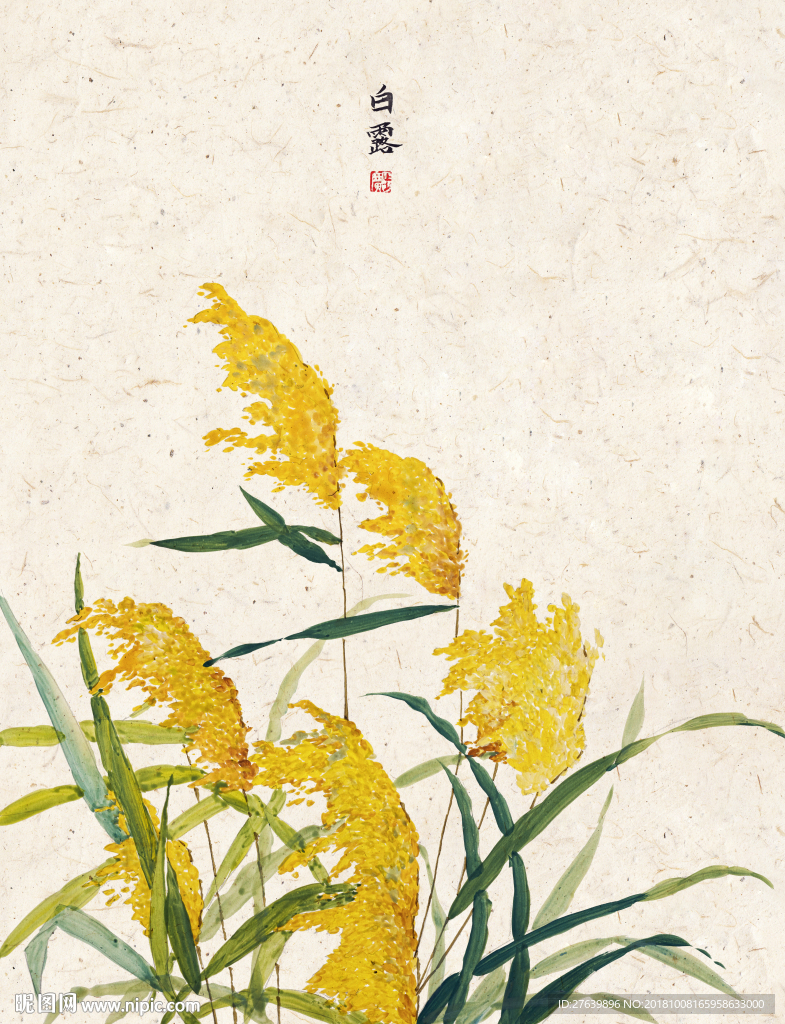 中式民俗 二十四节气 白露