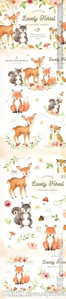 手绘卡通动物植物