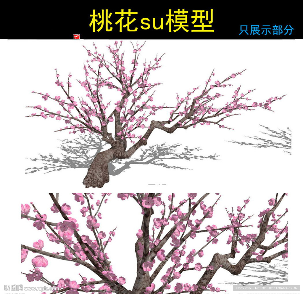 桃花模型