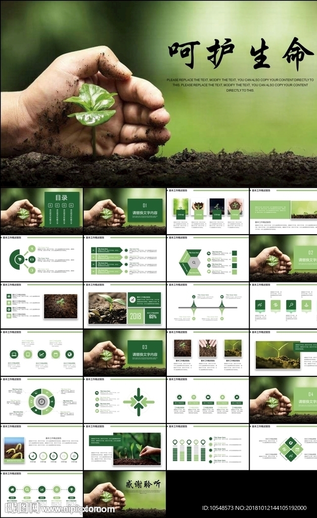 敬畏生命绿色植物成长树苗生长