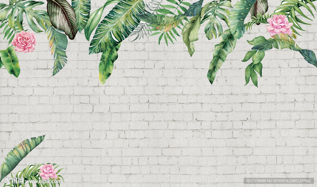 热带植物 雨林壁纸 芭蕉叶