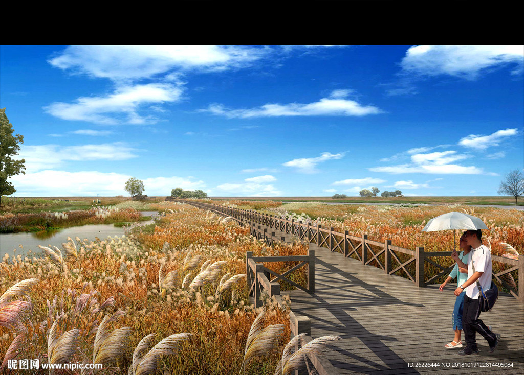 河岸芦苇地效果图