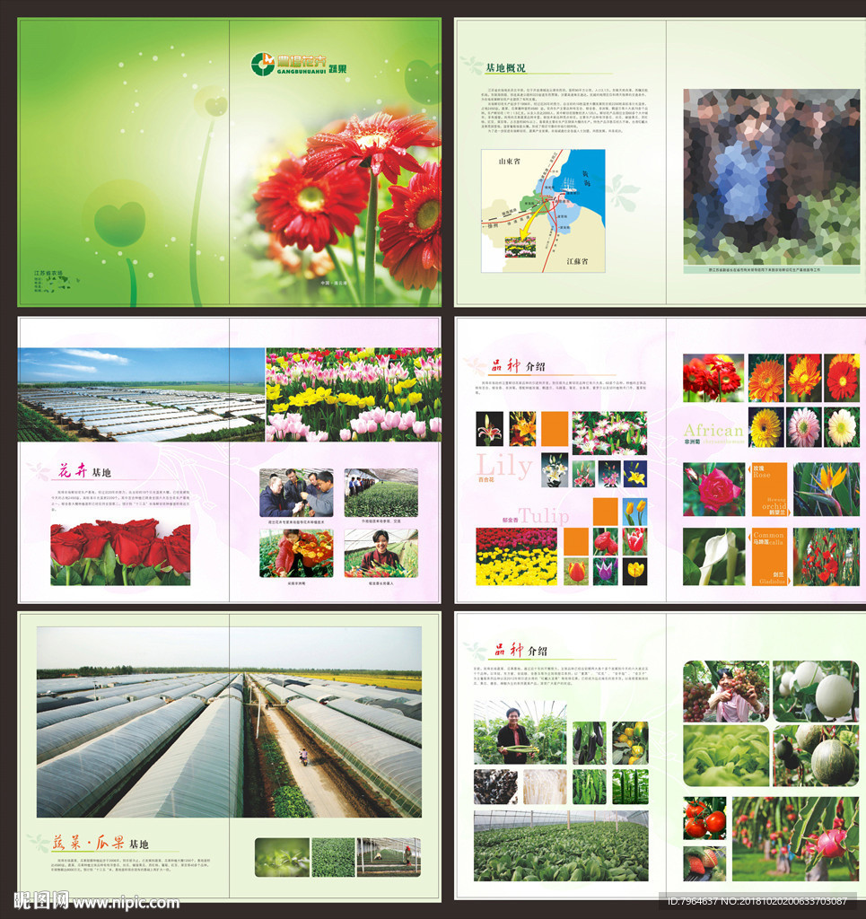 农场花卉有机疏果画册