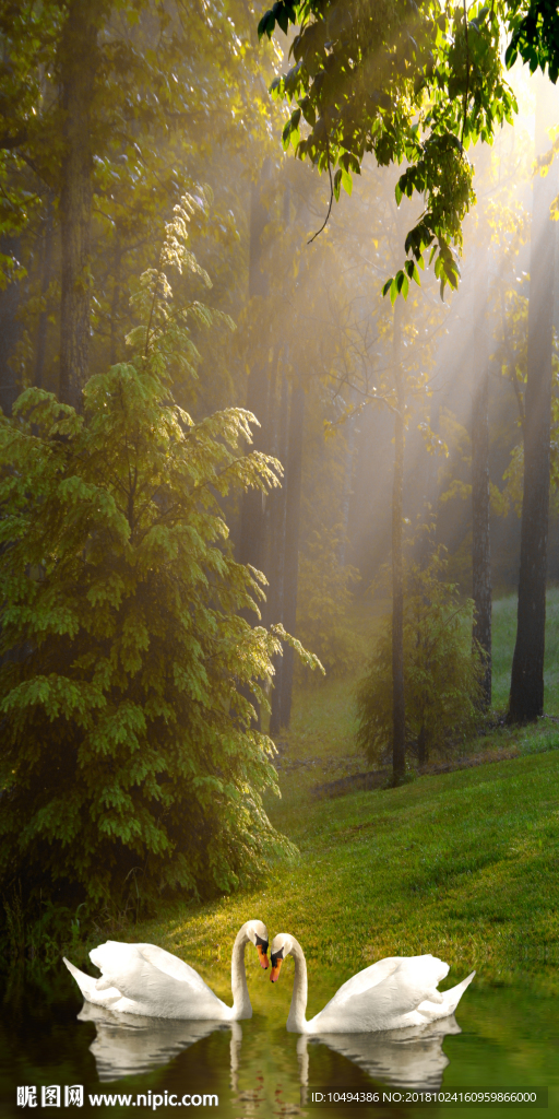 手绘油画天鹅湖
