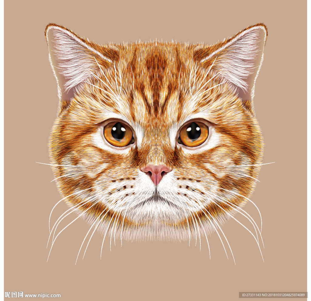 猛兽 兽 动物 矢量猫头