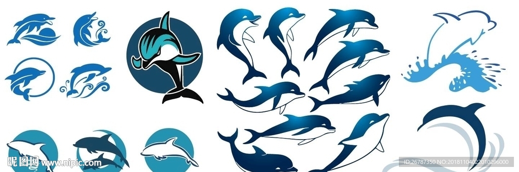 矢量海豚设计