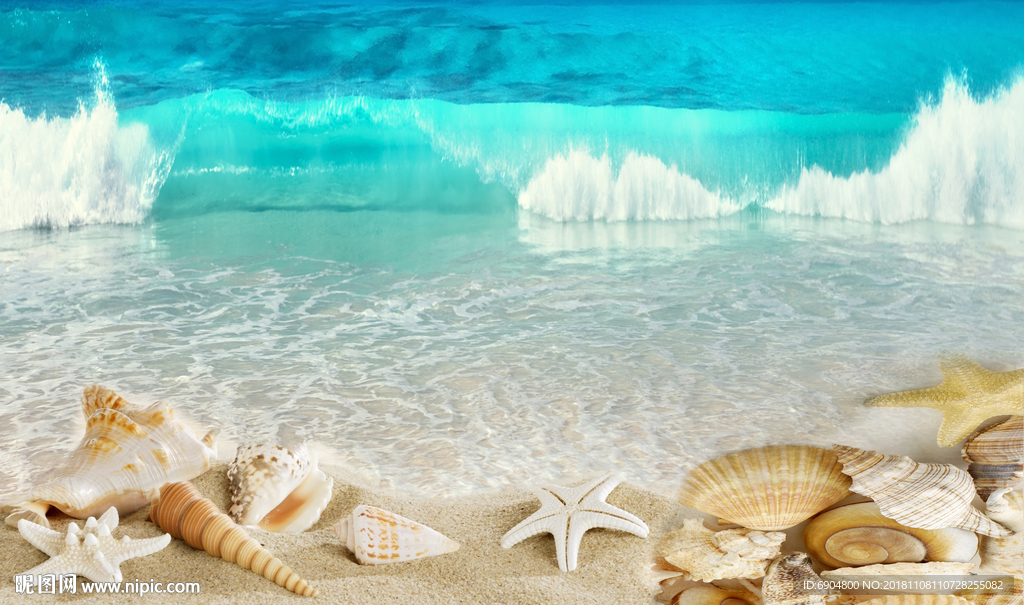 沙滩贝壳