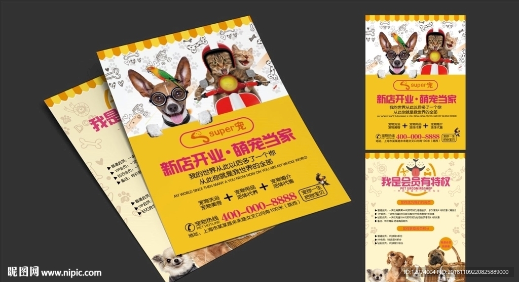 宠物店开业宣传单 平面图