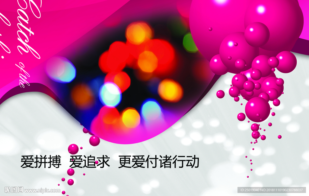 时尚 招商 展板