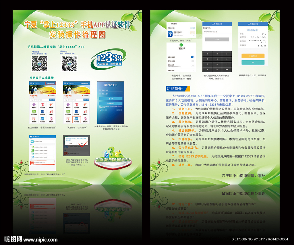 掌上12333操作流程