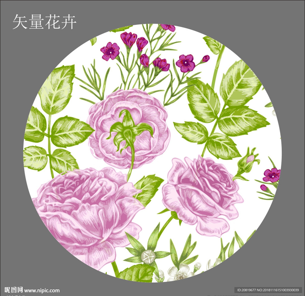 矢量花鸟图图片