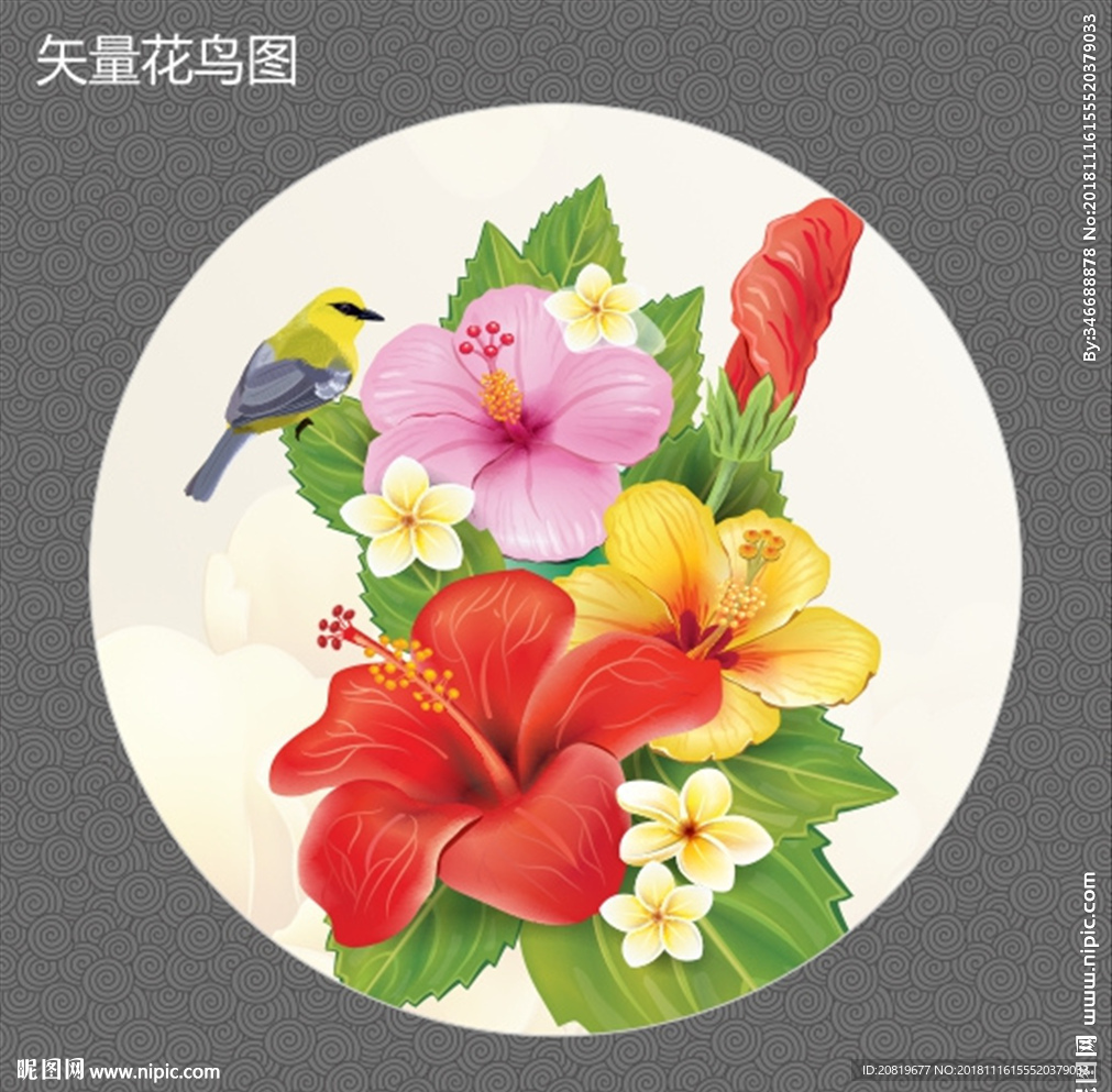 矢量花鸟图图片