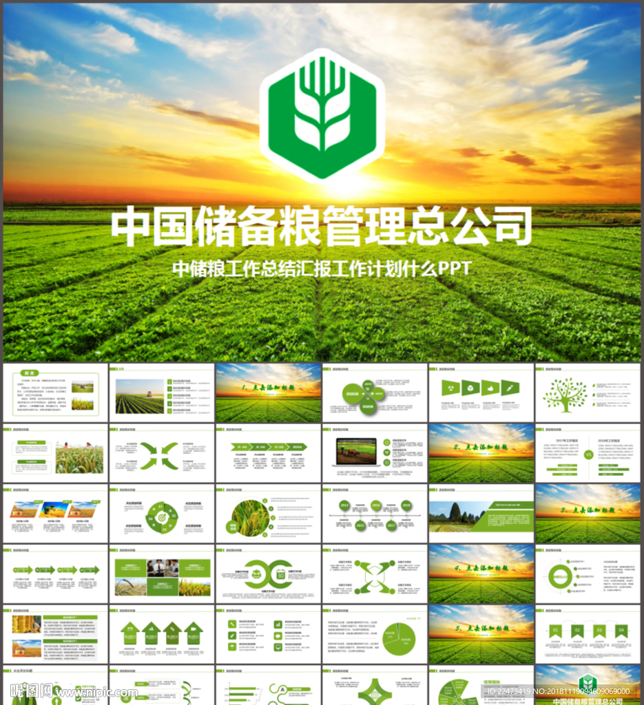 中国储备粮管理总公司中储粮