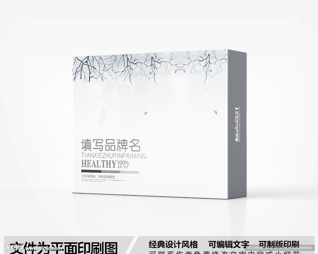 圣诞元素包装盒设计