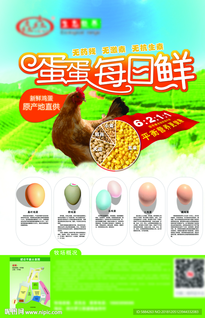 新鲜土鸡蛋 超市农产品海报