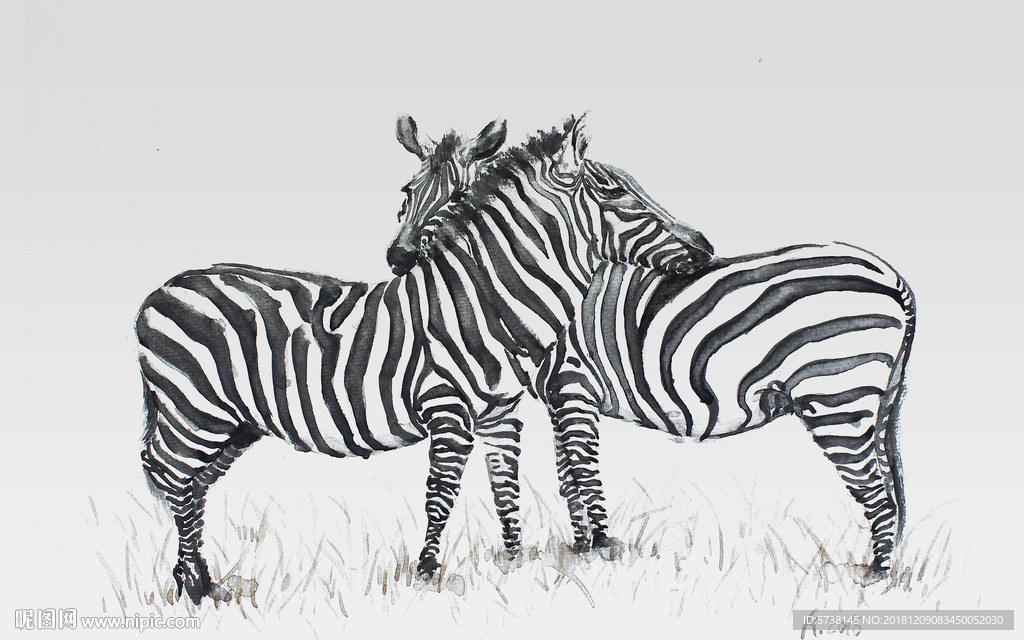 手绘斑马玄关屏风背景底纹素材艺