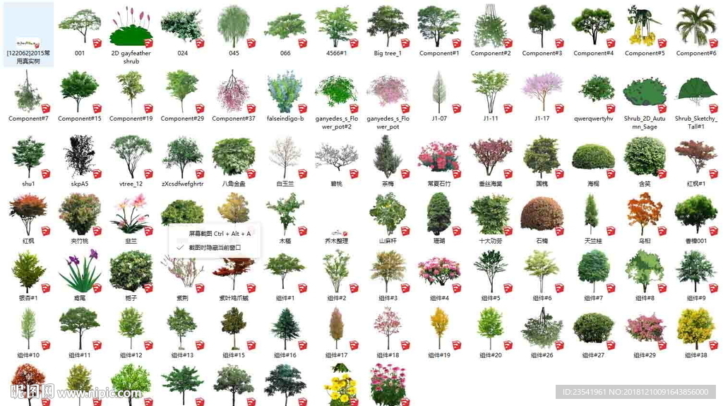 SU真实植物素材