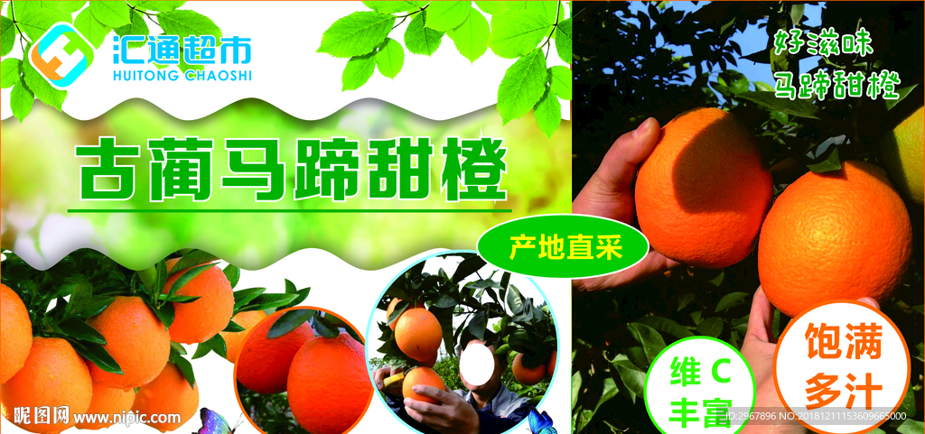 古蔺马蹄甜橙吊旗