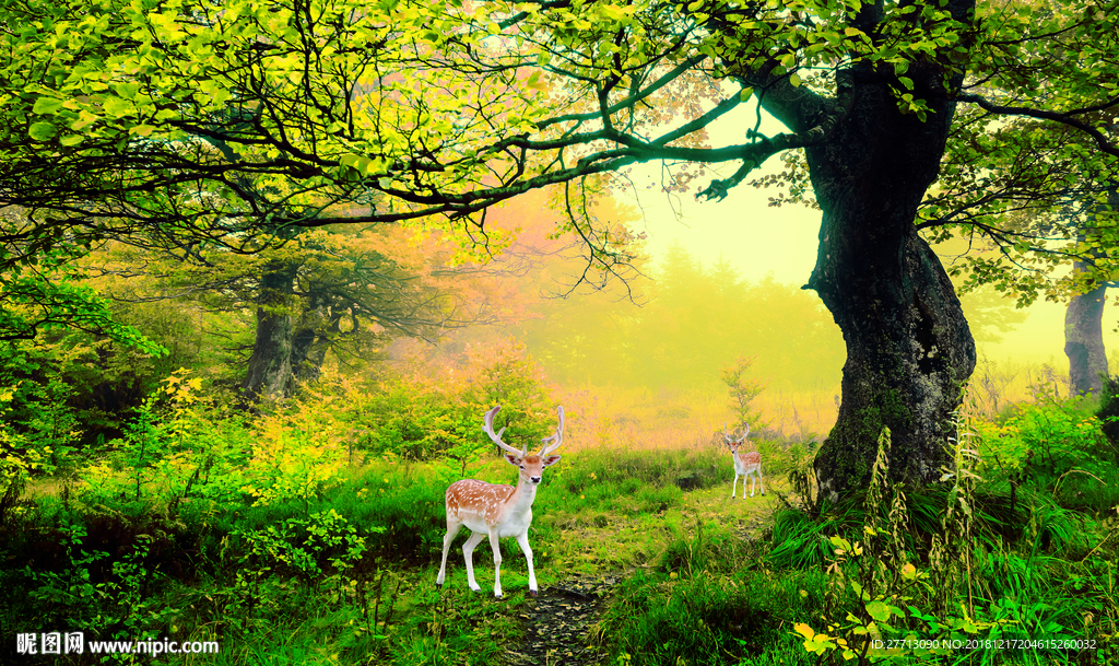 3D风景画森林马小鹿树林背景墙