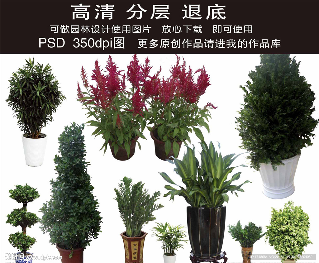 园林绿化psd花草树木素材大全