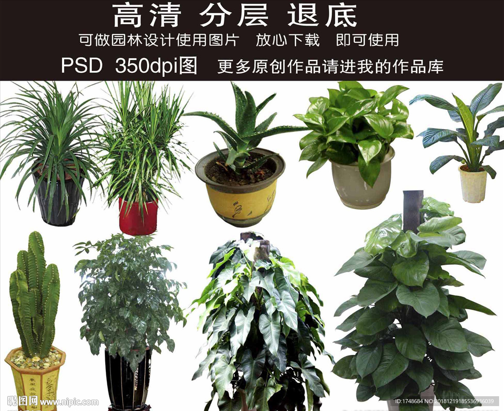 园林花卉PSD元素