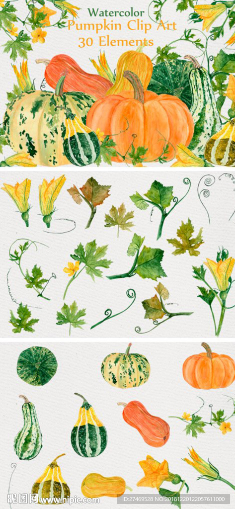 手绘水彩植物果实