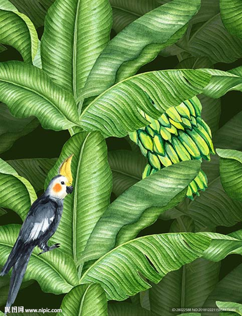 手绘热带植物芭蕉叶香蕉鹦鹉素材