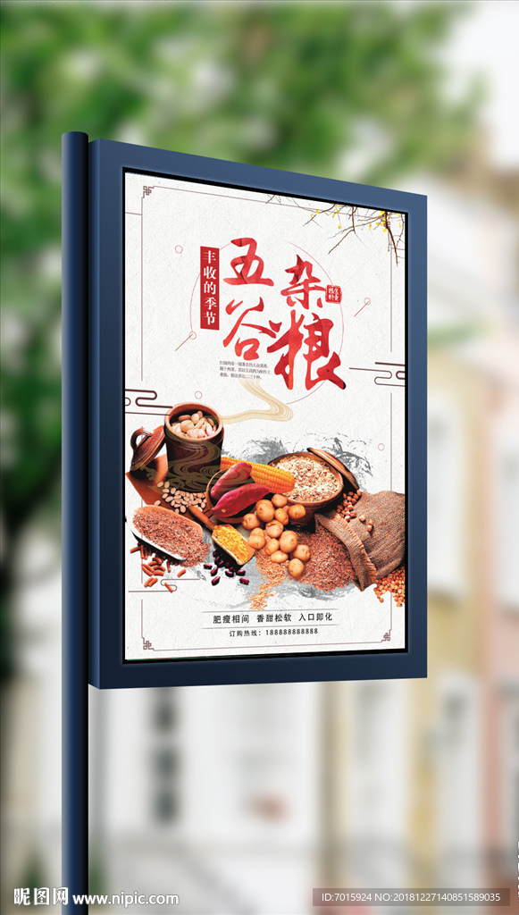 刚五谷杂粮海报设计