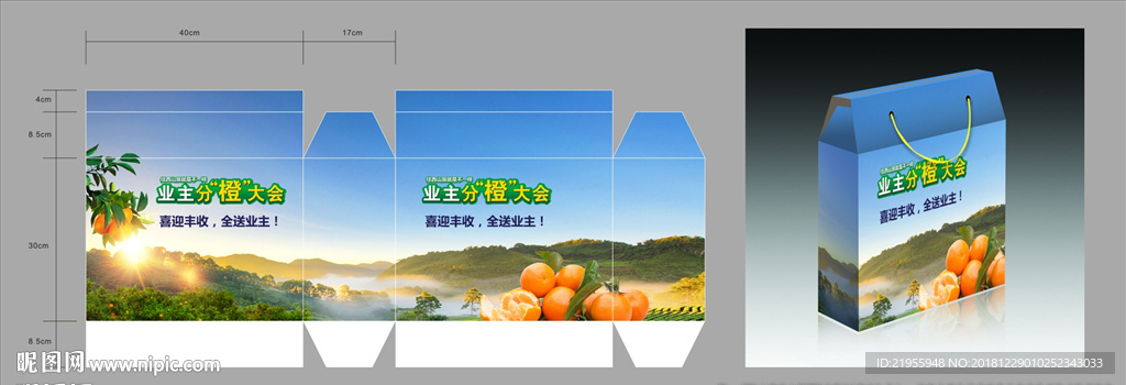 橙子包装盒q