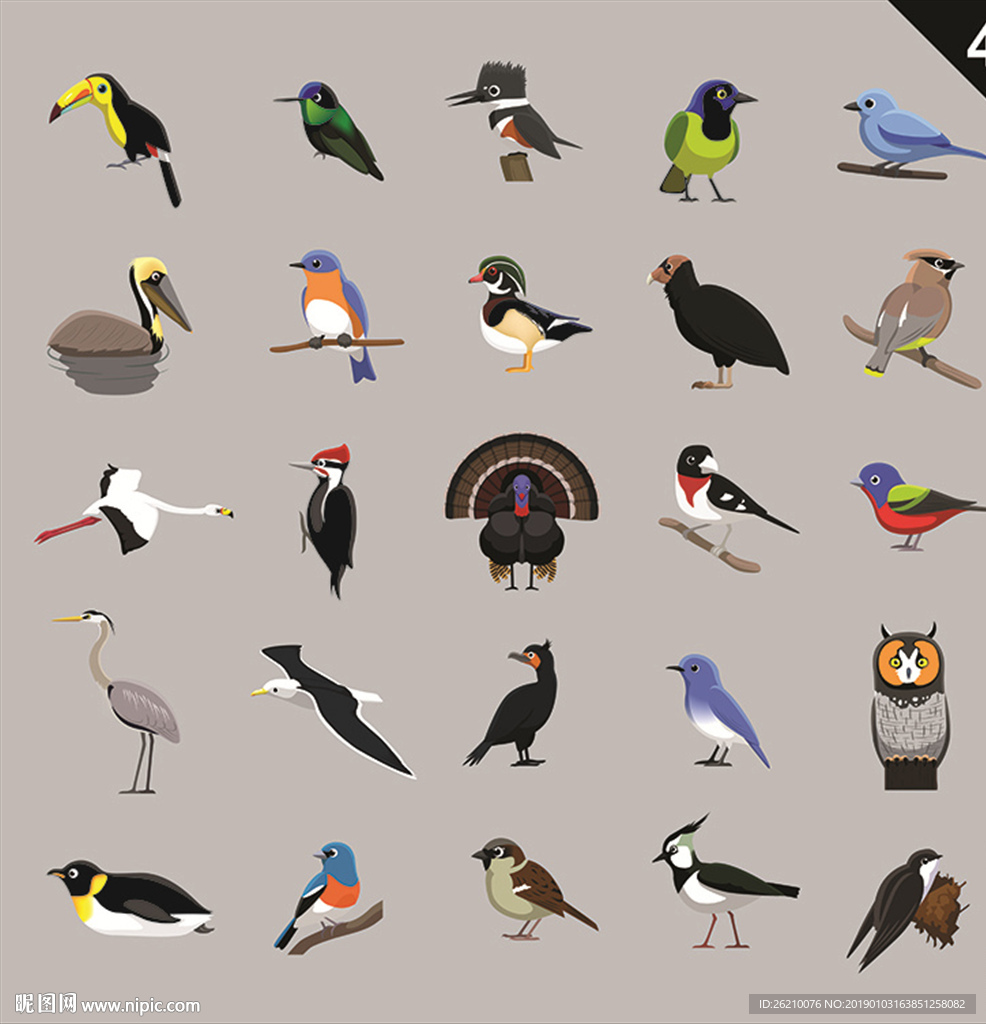 手绘鸟类插画素材