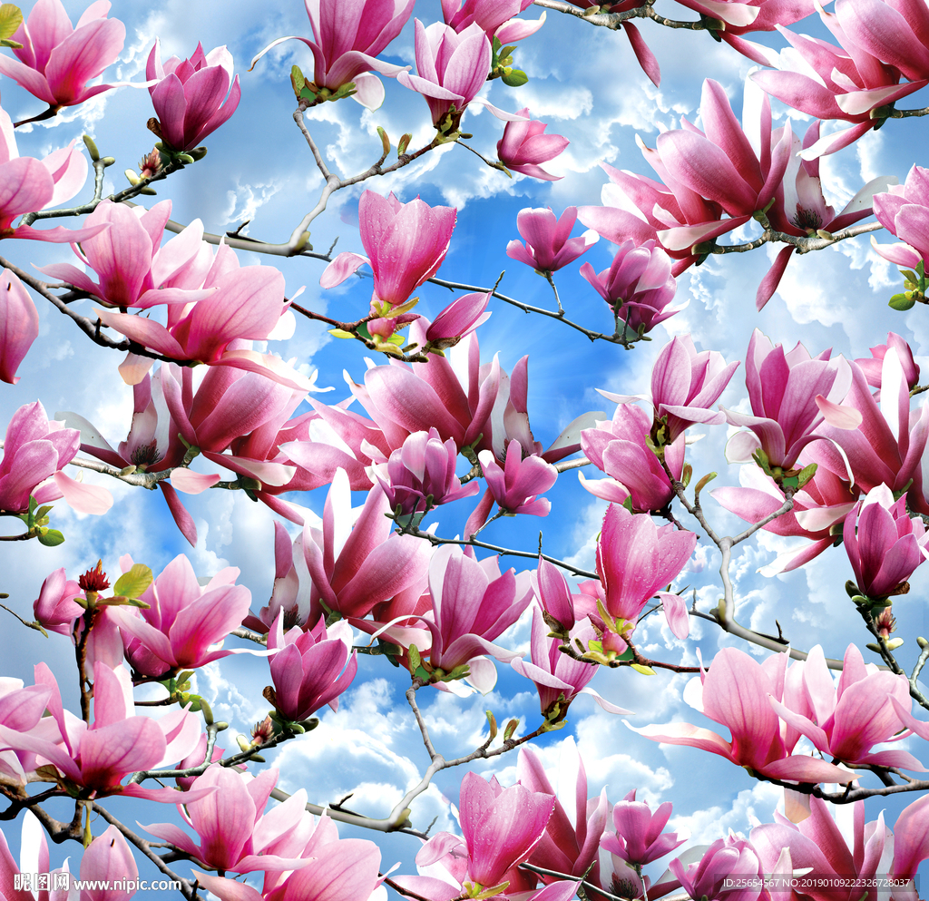 蓝天白云花朵吊顶