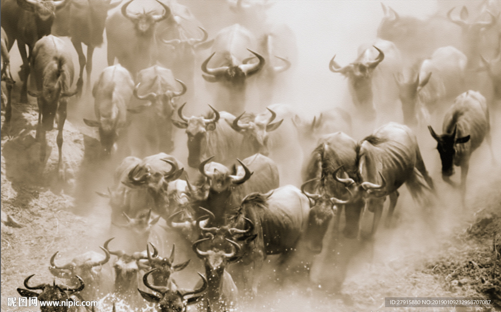 抽象奔跑的犀牛