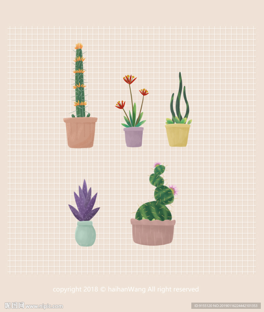 多款手绘多肉植物小盆栽