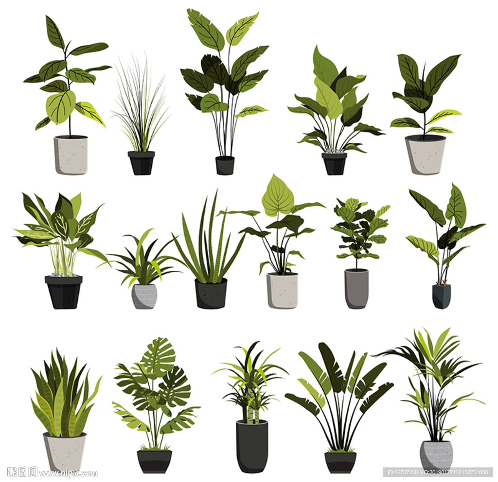 矢量盆栽植物
