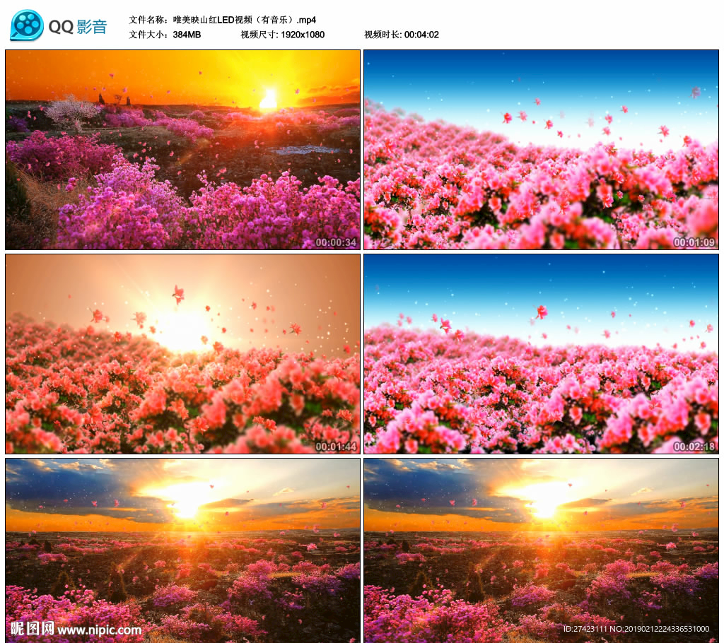 唯美杜鹃花映山红 舞台背景视频