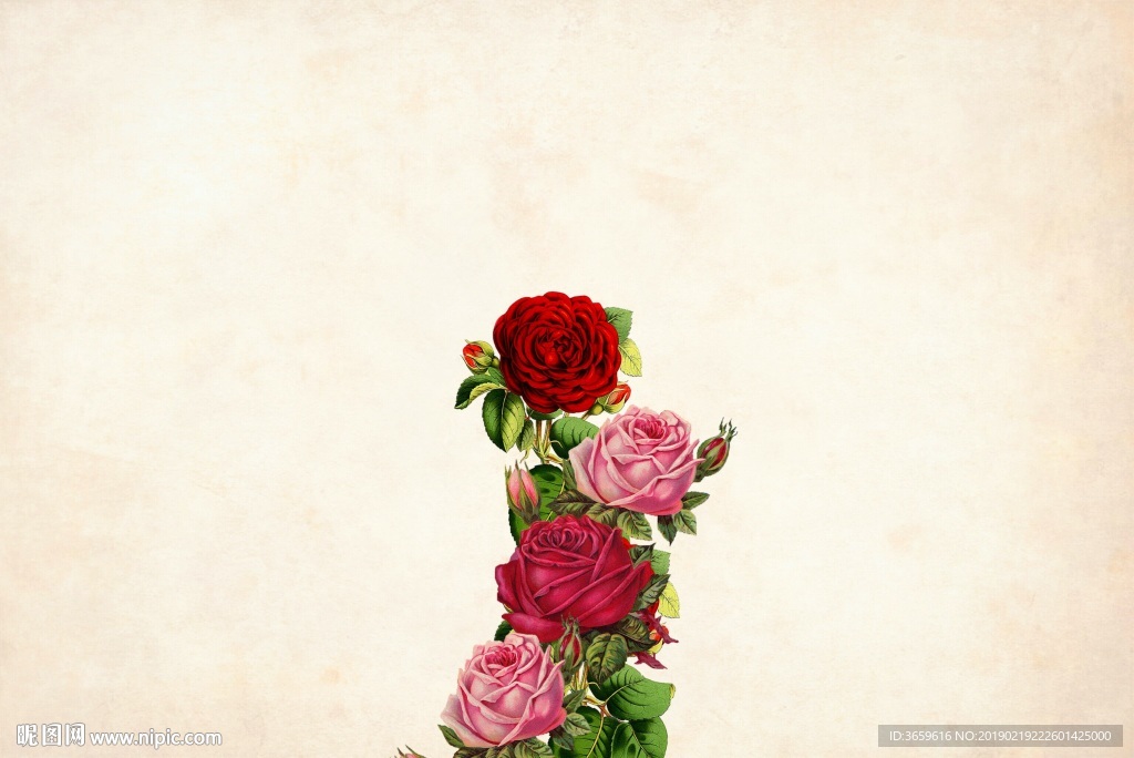 玫瑰花底纹背景