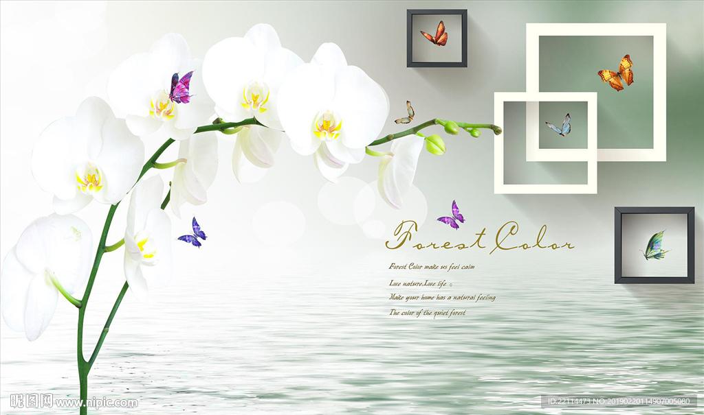 3D方框唯美白色蝴蝶兰背景墙