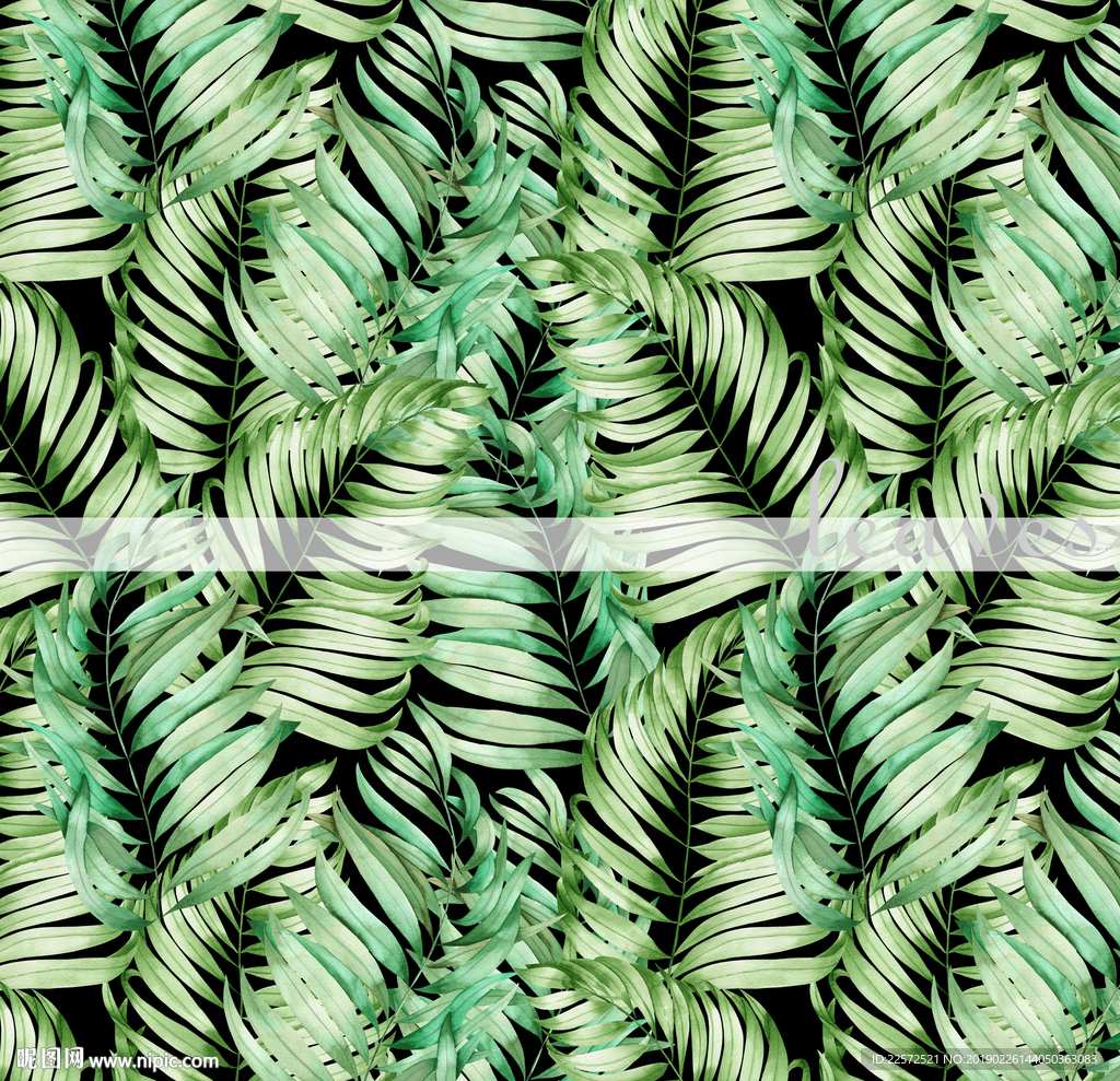 叶子 树叶 花叶 春天 分层