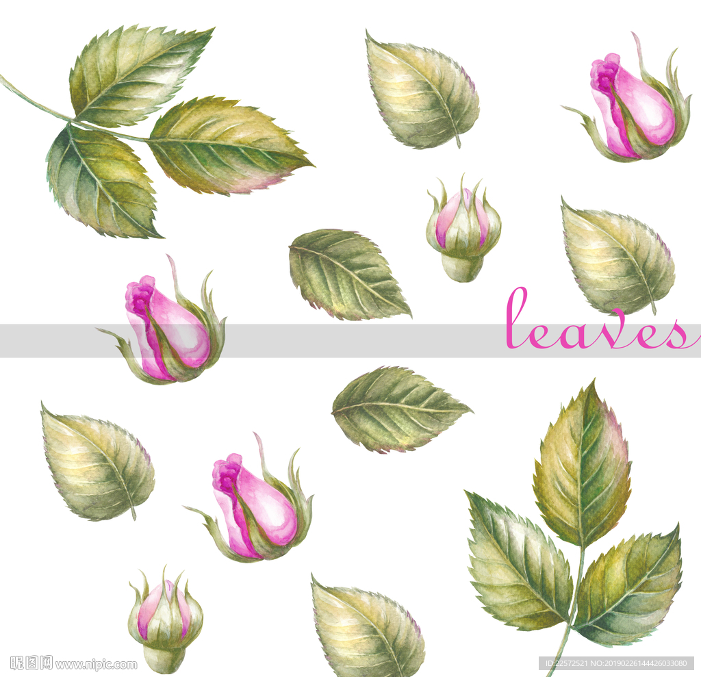 叶子 树叶 花叶 春天 分层