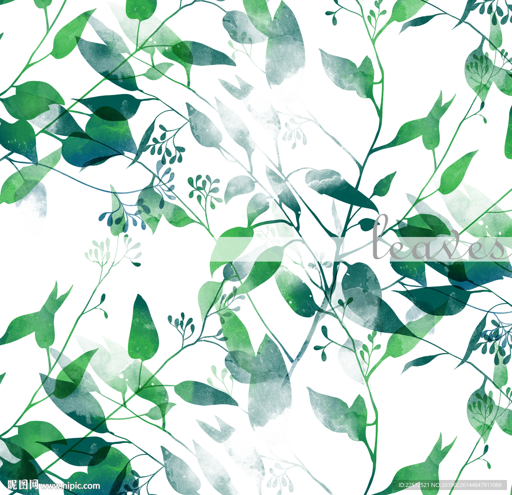 叶子 树叶 花叶 春天 分层