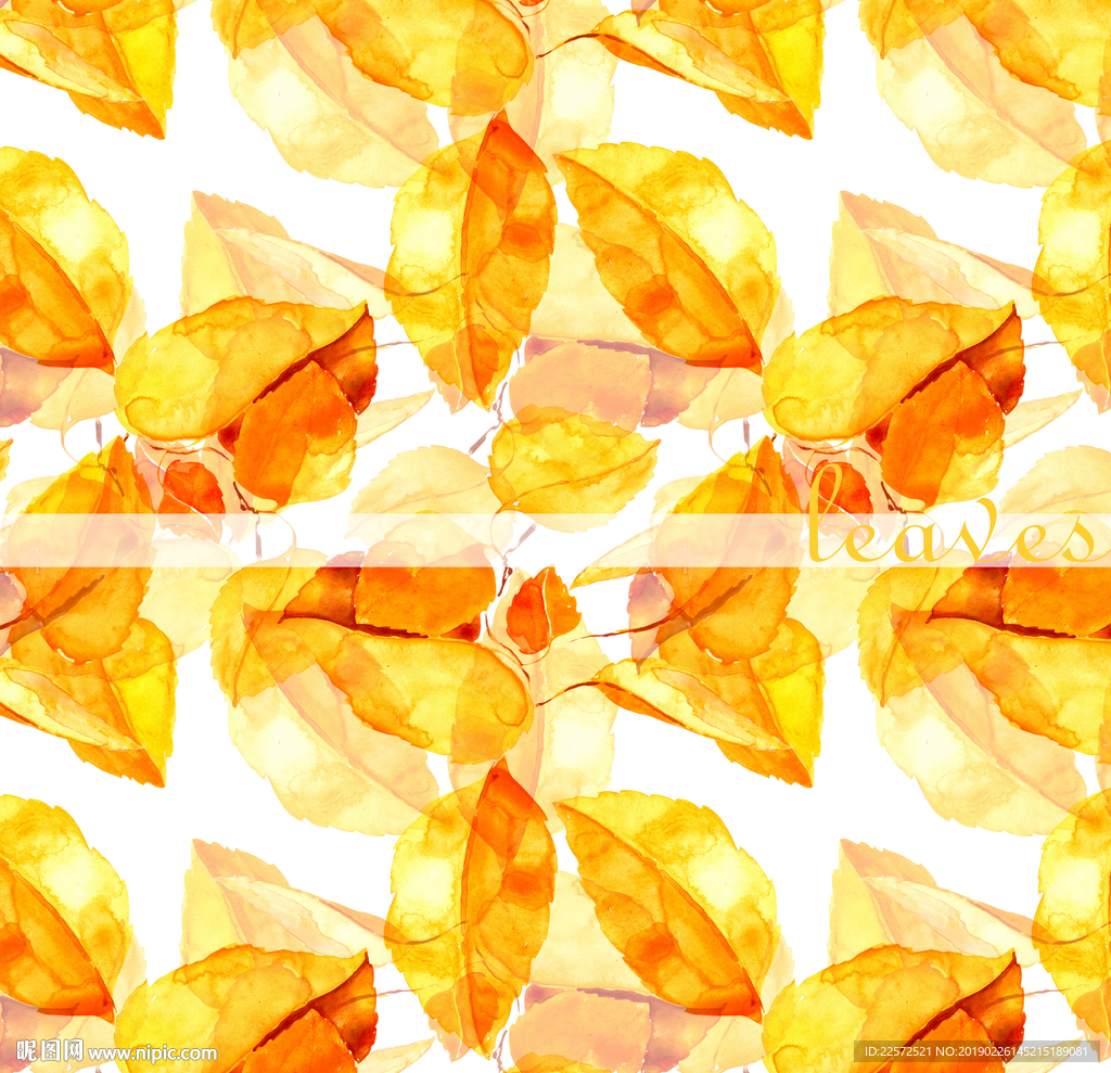 叶子 树叶 花叶 春天 热带