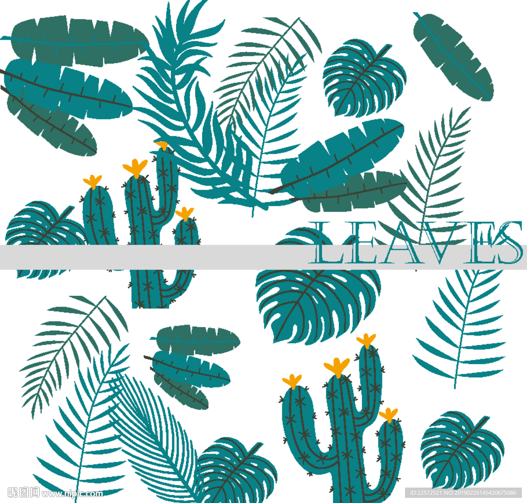 叶子 树叶 花叶 春天 热带