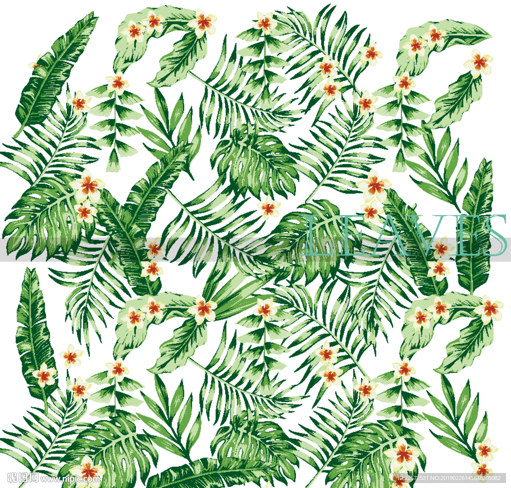 叶子 树叶 花叶 春天 热带