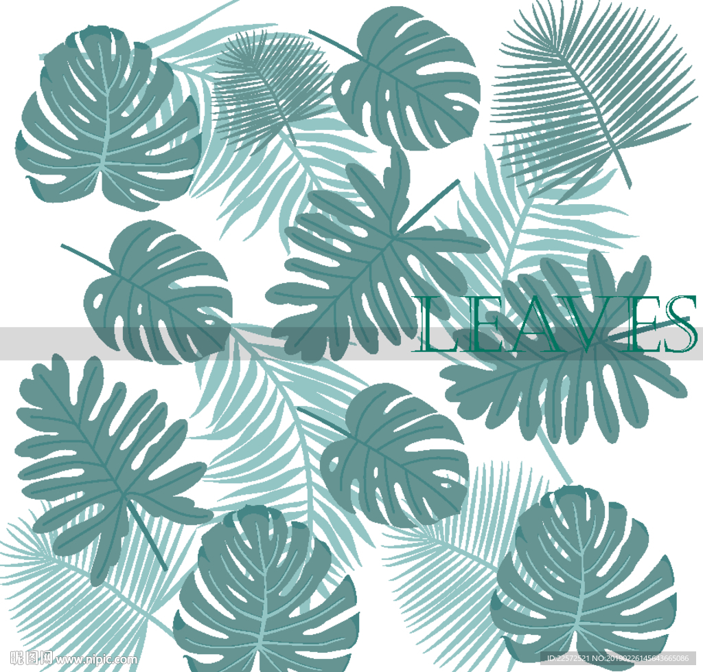 叶子 树叶 花叶 春天 热带