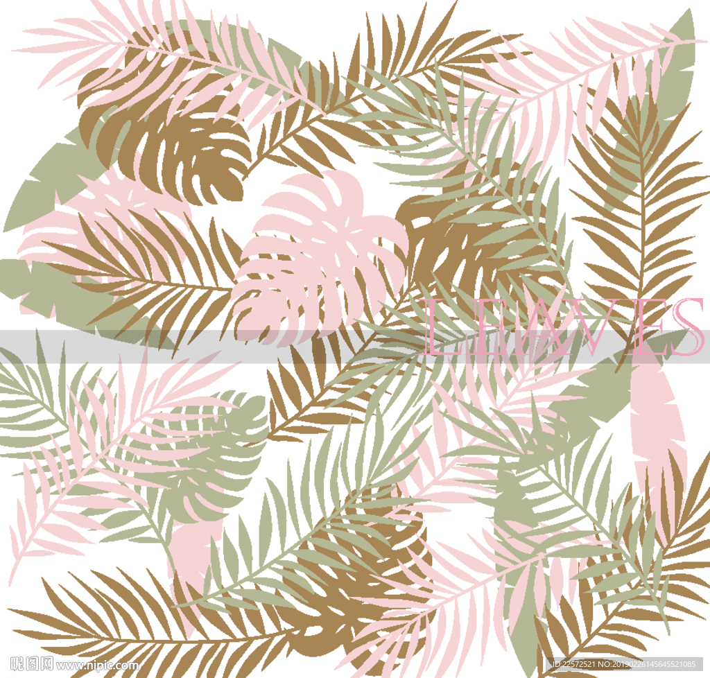 叶子 树叶 花叶 热带 分层