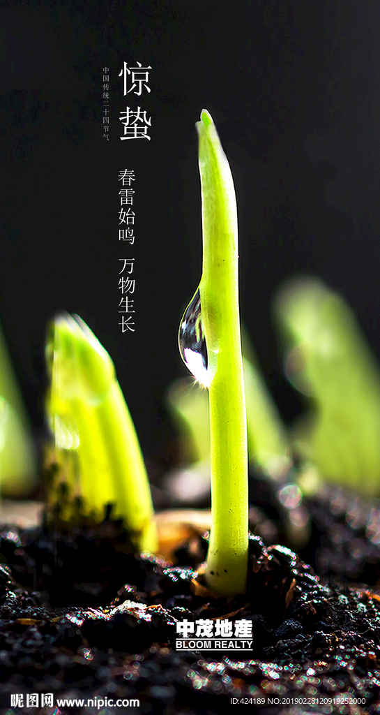 二十四节气惊蛰微信朋友圈刷屏