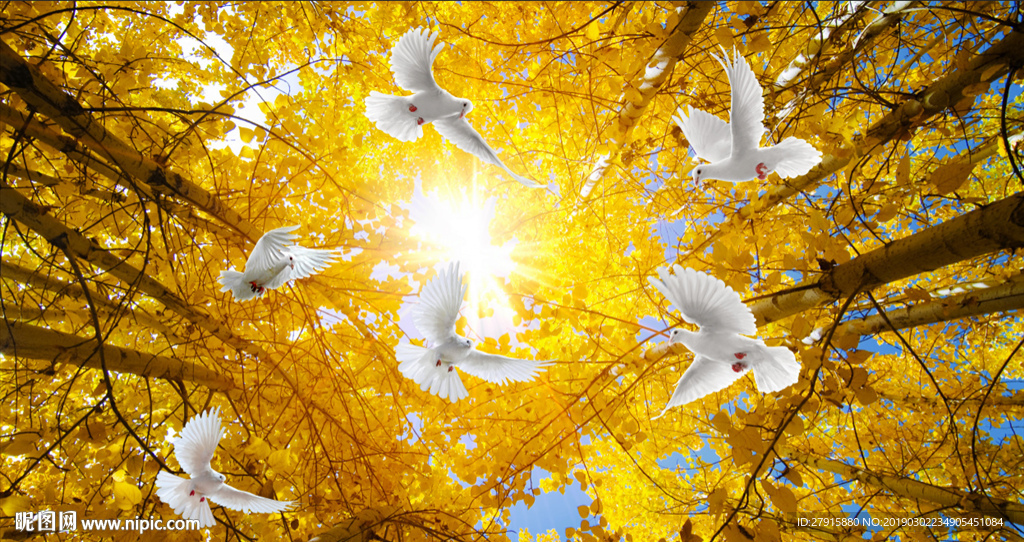 室内吊顶白桦树背景墙